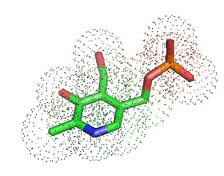 Pyridoxine Pi